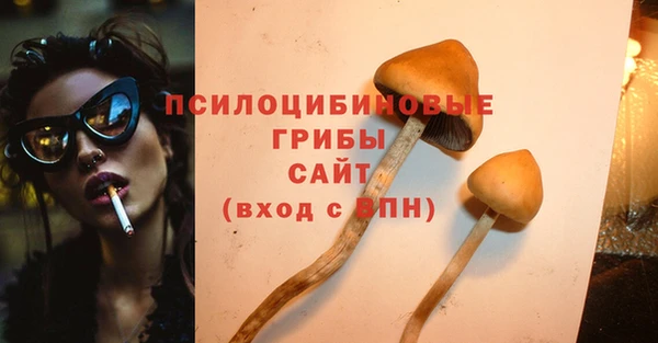 PSILOCYBIN Заводоуковск