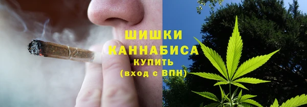 PSILOCYBIN Заводоуковск