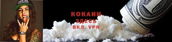 PSILOCYBIN Заводоуковск