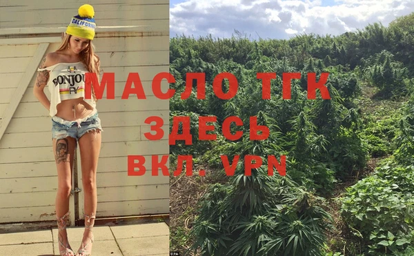 PSILOCYBIN Заводоуковск