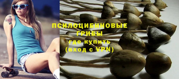 PSILOCYBIN Заводоуковск
