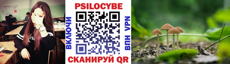 Галлюциногенные грибы Magic Shrooms  Купить закладки  Североморск 